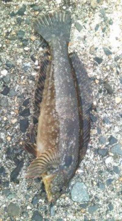 �����ʥ�