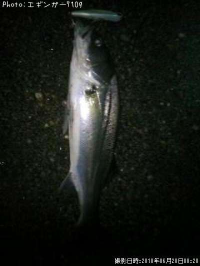 �����Х�