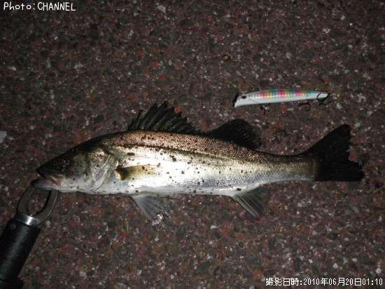 �����Х�