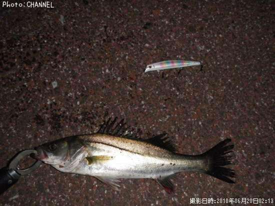 �����Х�