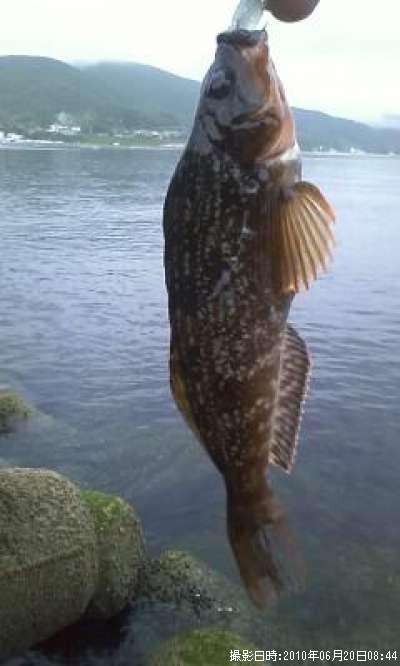 �����ʥ�