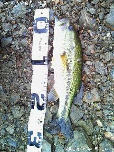 �֥�å��Х�