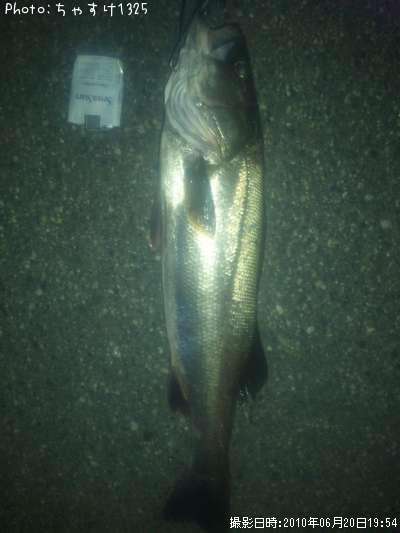 �����Х�