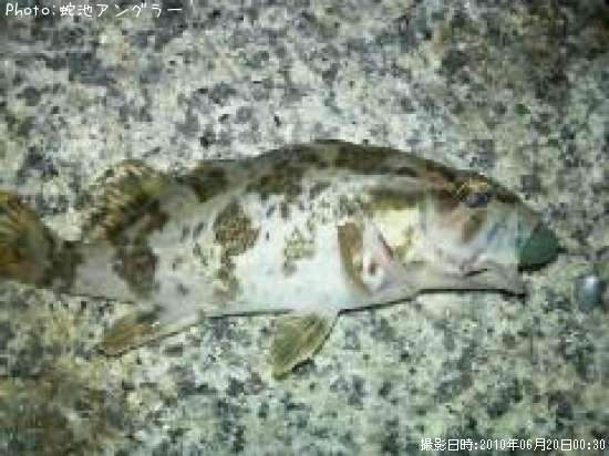 �����Υ���Х�