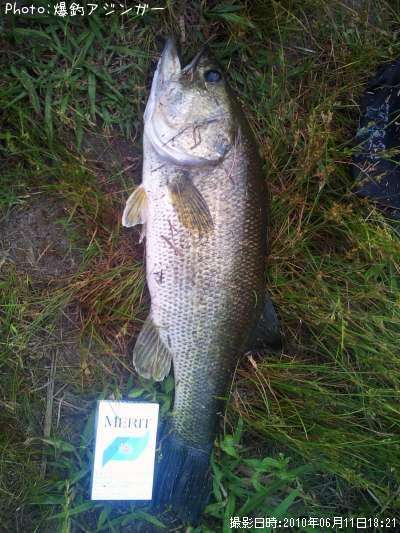 �֥�å��Х�