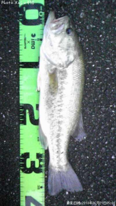 �֥�å��Х�