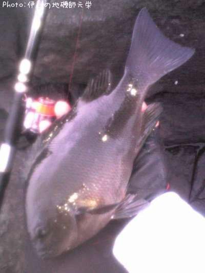 �����᥸��