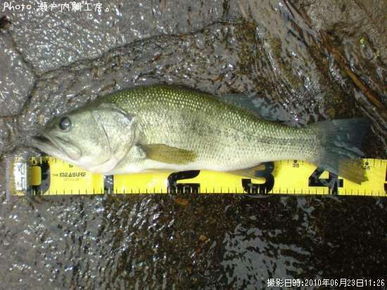 �֥�å��Х�