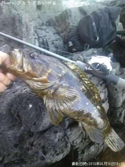 �����Υ���Х�