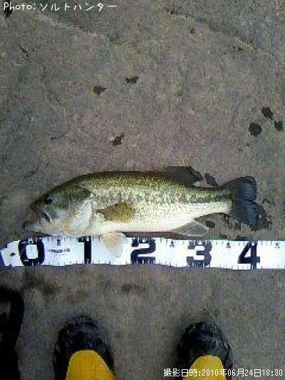 �֥�å��Х�