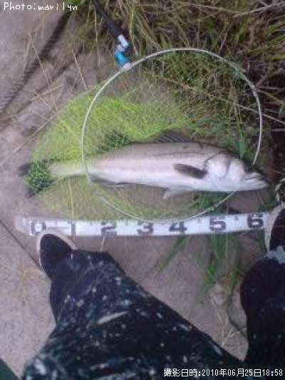 �����Х�