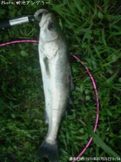 �����Х�