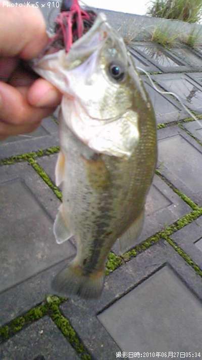 �֥�å��Х�