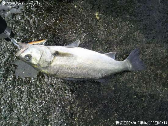 �����Х�