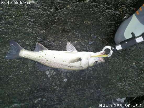 �����Х�