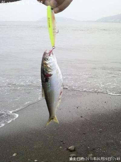 ���Υ���