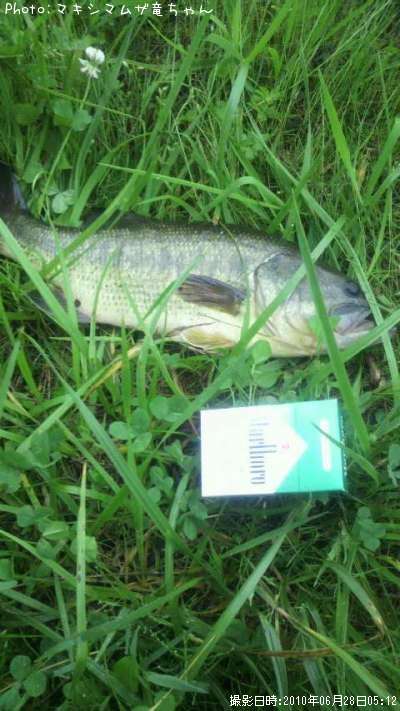 �֥�å��Х�