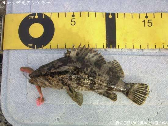 �����Υ���Х�