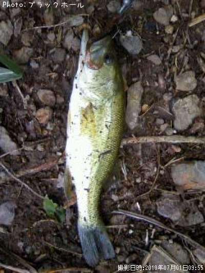 �֥�å��Х�