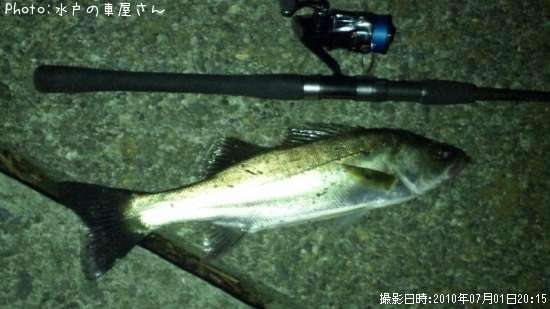 �����Х�