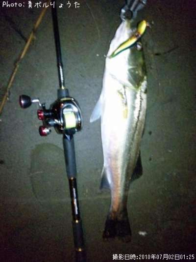 �����Х�