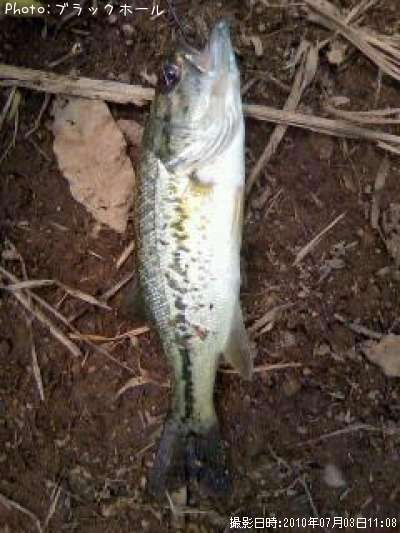 �֥�å��Х�