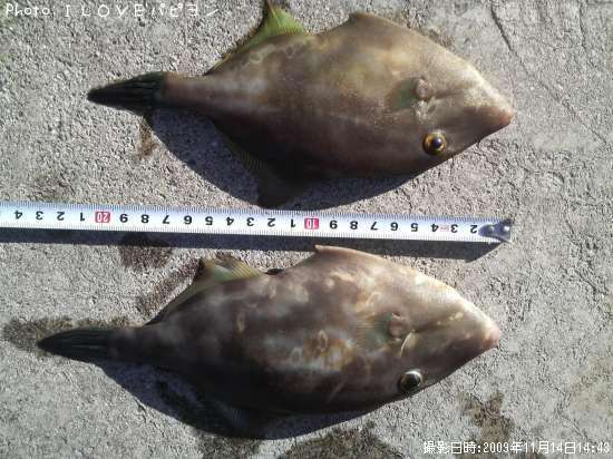 ���ޥ���