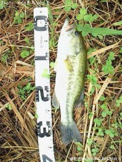 �֥�å��Х�