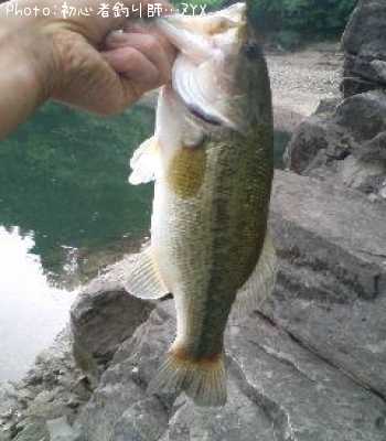 �֥�å��Х�