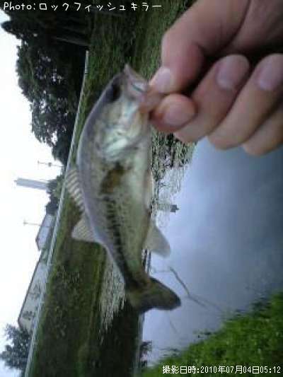 �֥�å��Х�