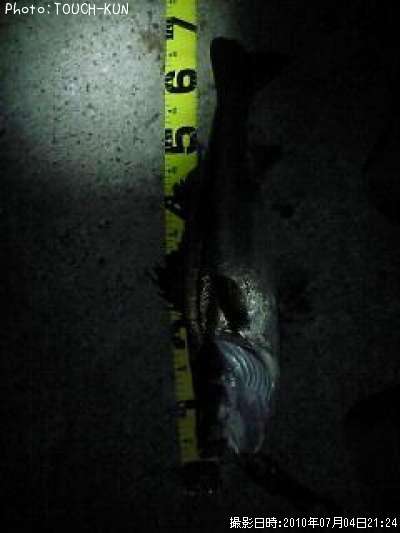 �����Х�