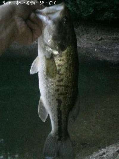 �֥�å��Х�