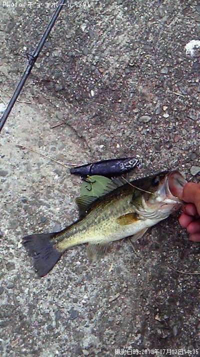 �֥�å��Х�