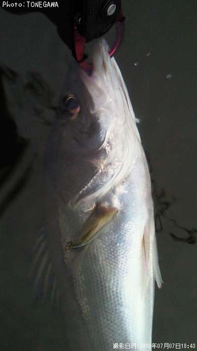 �����Х�