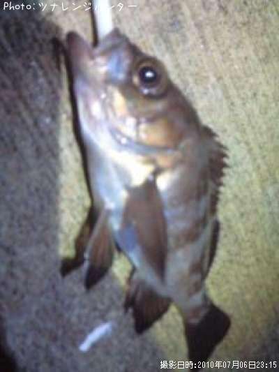 ����������饲�å�