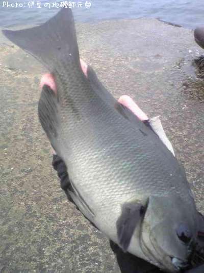 �����᥸��