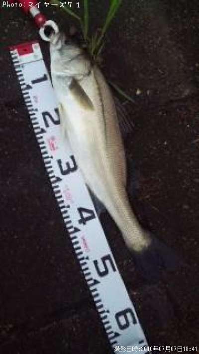 �����Х�