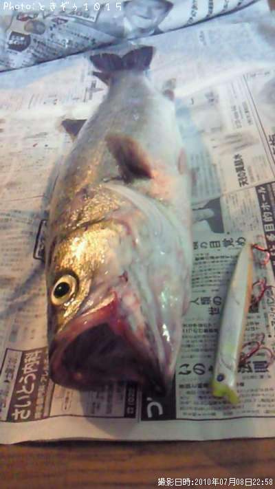 �����Х�