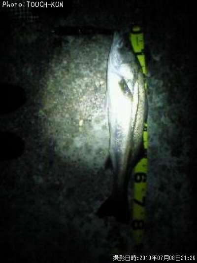 �����Х�