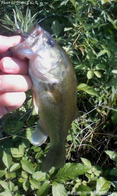 �֥�å��Х�