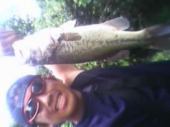 �֥�å��Х�