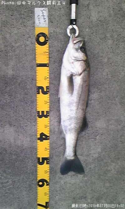 �����Х�