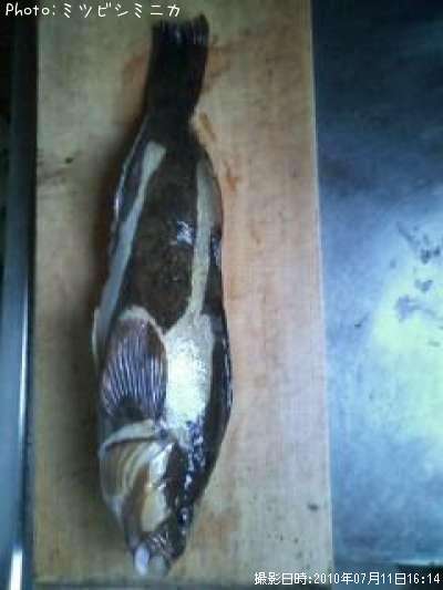 �����ʥ�