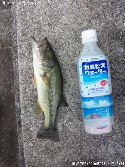 �֥�å��Х�