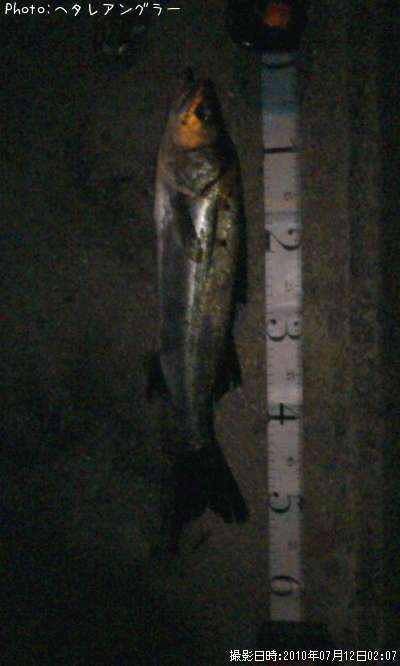 �����Х�