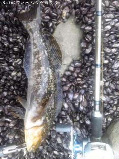 �����ʥ�