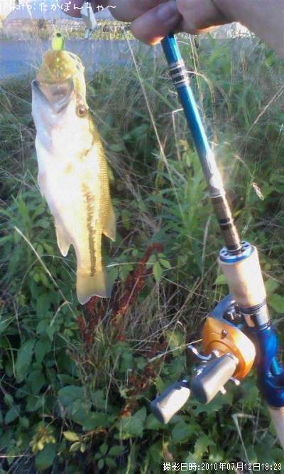 �֥�å��Х�