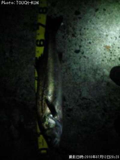 �����Х�