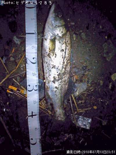 �����Х�