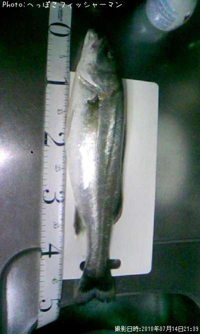 �����Х�